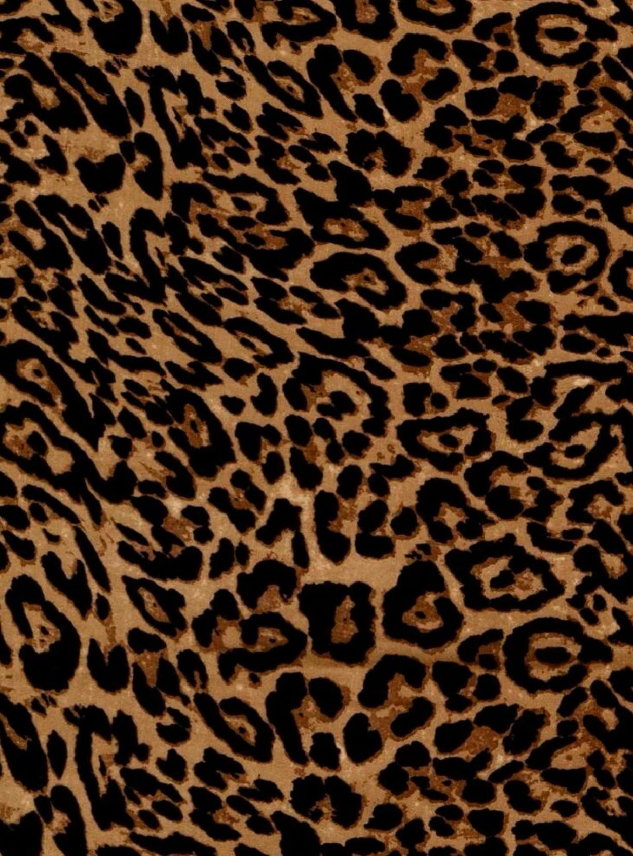 Animal Print